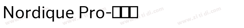 Nordique Pro字体转换